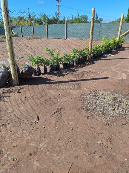 Terreno en Venta en San Martin, Mendoza