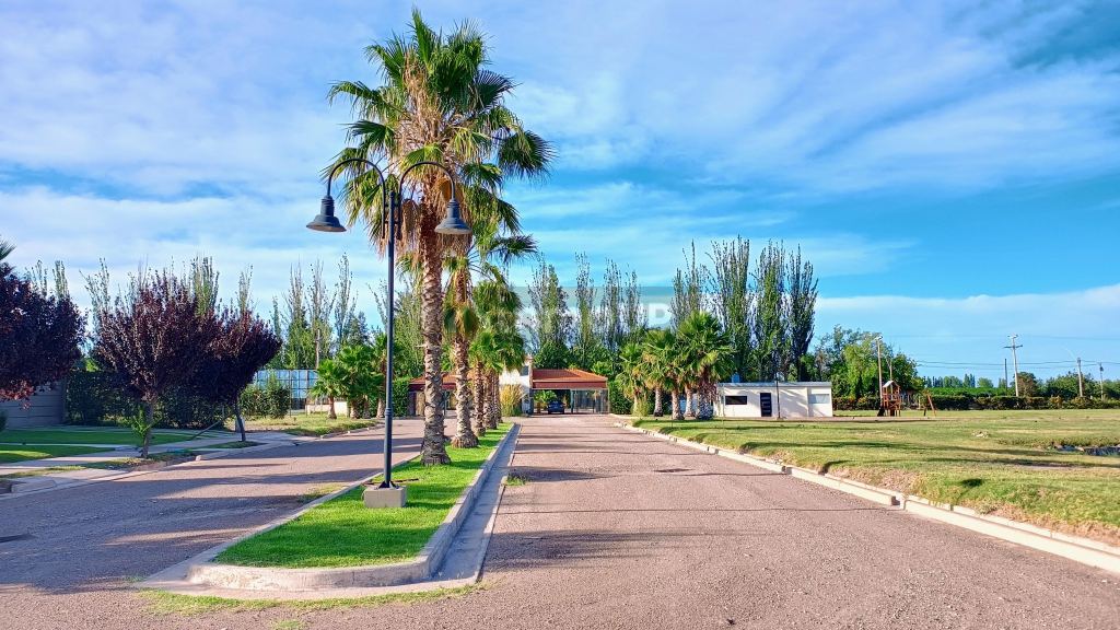 Lote en Venta en Maipu, Mendoza