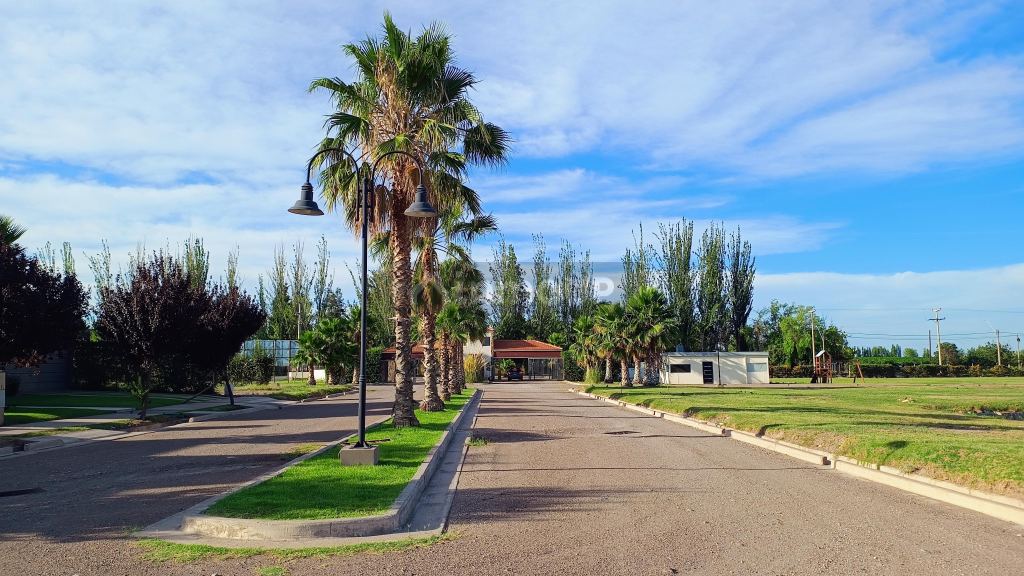 Lote en Venta en Maipu, Mendoza