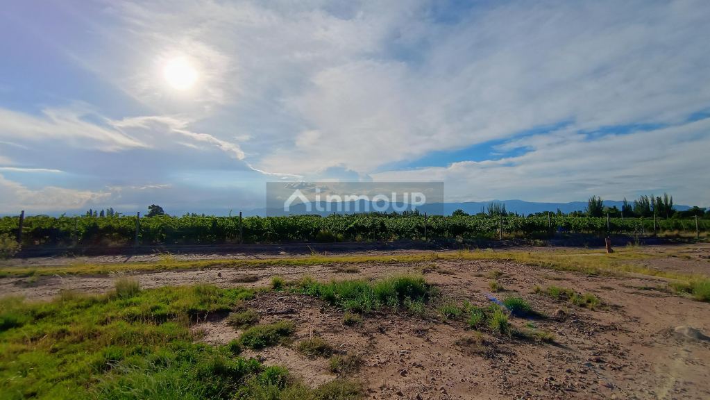 Lote en Venta en Maipu, Mendoza