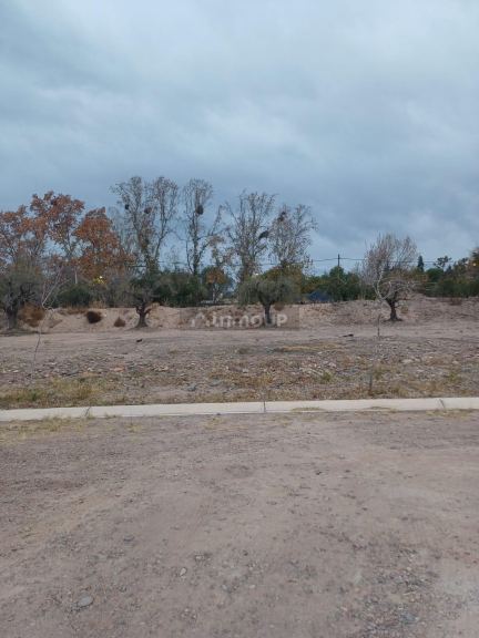 Lote en Venta en Maipu, Mendoza