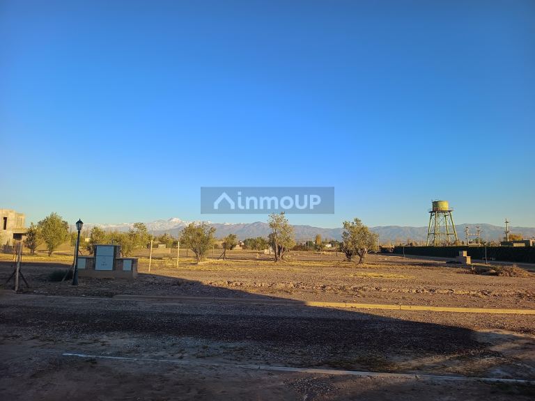 Lote en Venta en Maipu, Mendoza