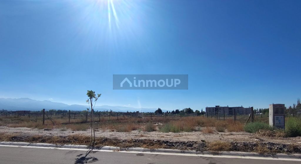 Lote en Venta en Lujan de Cuyo, Mendoza