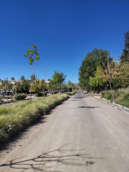 Lote en Venta en Lujan de Cuyo, Mendoza