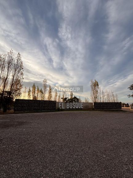 Terreno en Venta en Maipu, Mendoza