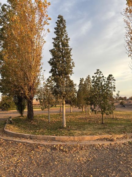 Terreno en Venta en Maipu, Mendoza