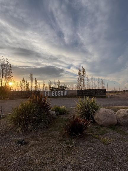 Terreno en Venta en Maipu, Mendoza