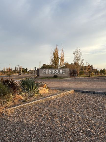 Terreno en Venta en Maipu, Mendoza