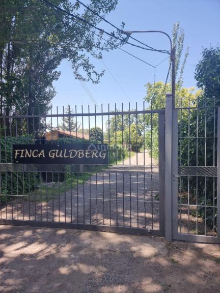 Terreno en Venta en Lujan de Cuyo, Mendoza