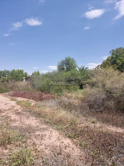 Terreno en Venta en Lujan de Cuyo, Mendoza
