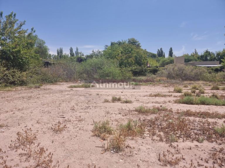 Terreno en Venta en Lujan de Cuyo, Mendoza