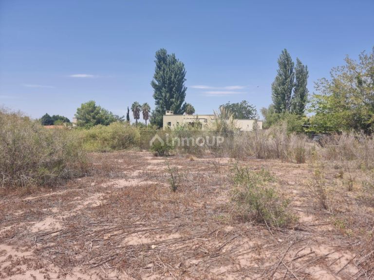 Terreno en Venta en Lujan de Cuyo, Mendoza