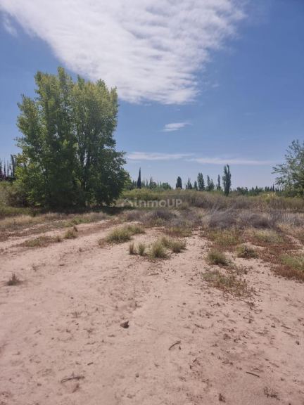 Terreno en Venta en Lujan de Cuyo, Mendoza