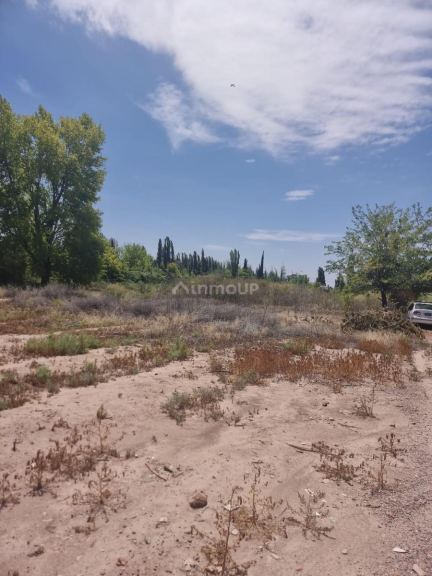 Terreno en Venta en Lujan de Cuyo, Mendoza