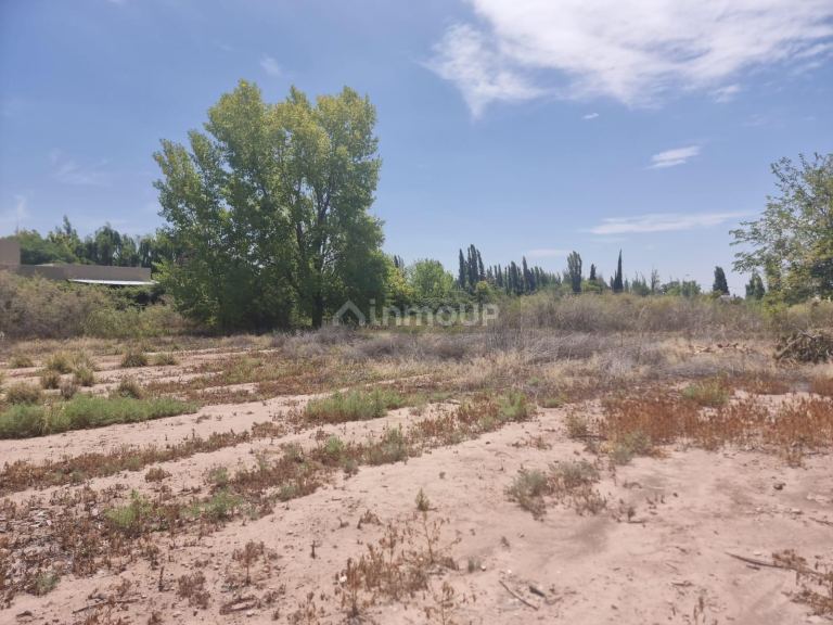 Terreno en Venta en Lujan de Cuyo, Mendoza