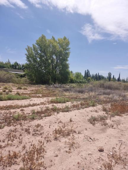 Terreno en Venta en Lujan de Cuyo, Mendoza