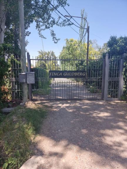 Terreno en Venta en Lujan de Cuyo, Mendoza