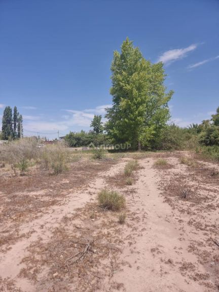 Terreno en Venta en Lujan de Cuyo, Mendoza