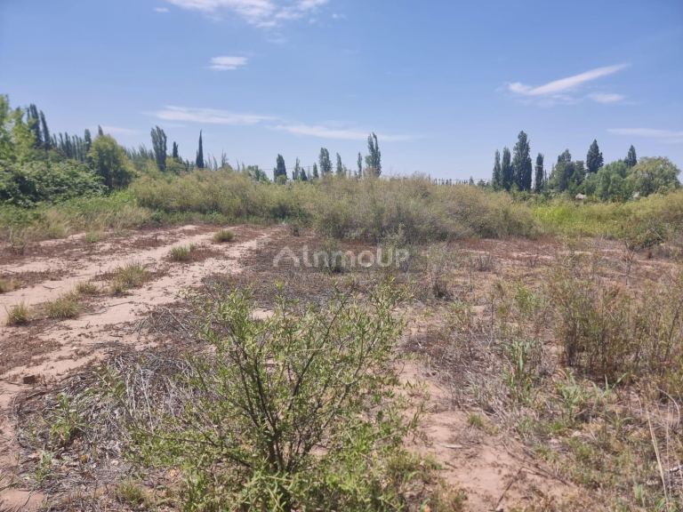 Terreno en Venta en Lujan de Cuyo, Mendoza