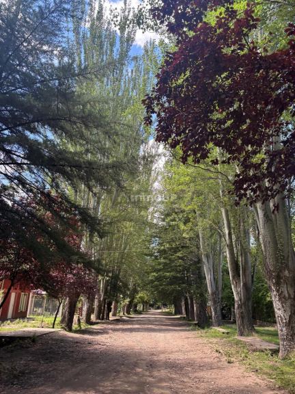 Terreno en Venta en Tunuyan, Mendoza - USD 30.000 | Inmoup - 10