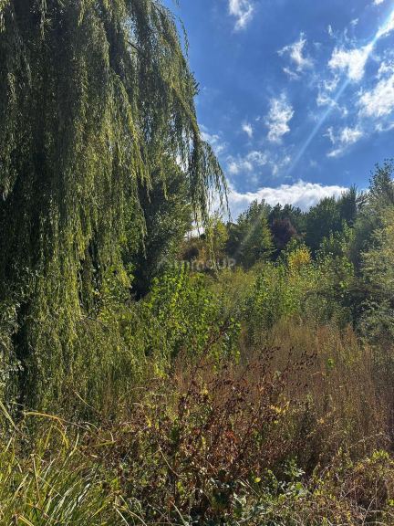 Terreno en Venta en Lujan de Cuyo, Mendoza