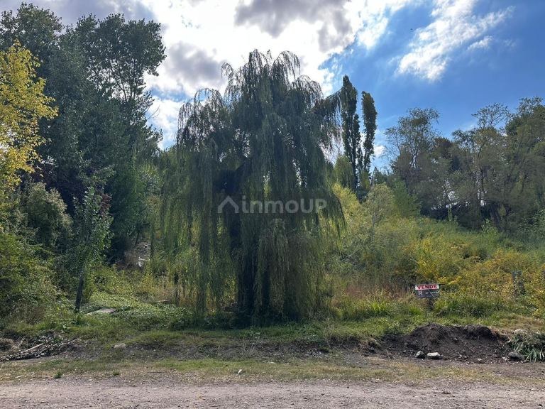 Terreno en Venta en Lujan de Cuyo, Mendoza