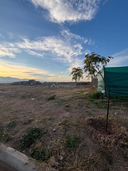 Terreno en Venta en Lujan de Cuyo, Mendoza