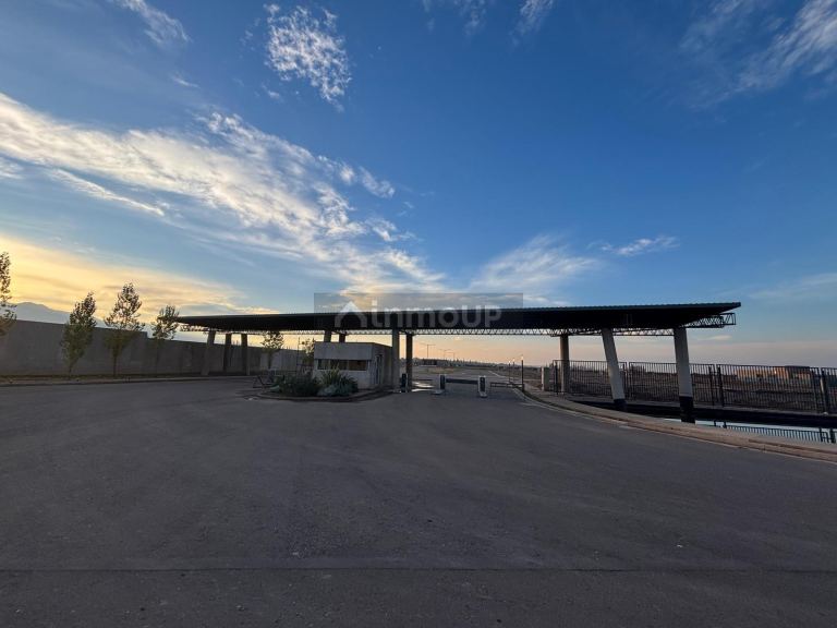 Terreno en Venta en Lujan de Cuyo, Mendoza