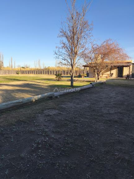 Casa Quinta en Venta en Junin, Mendoza