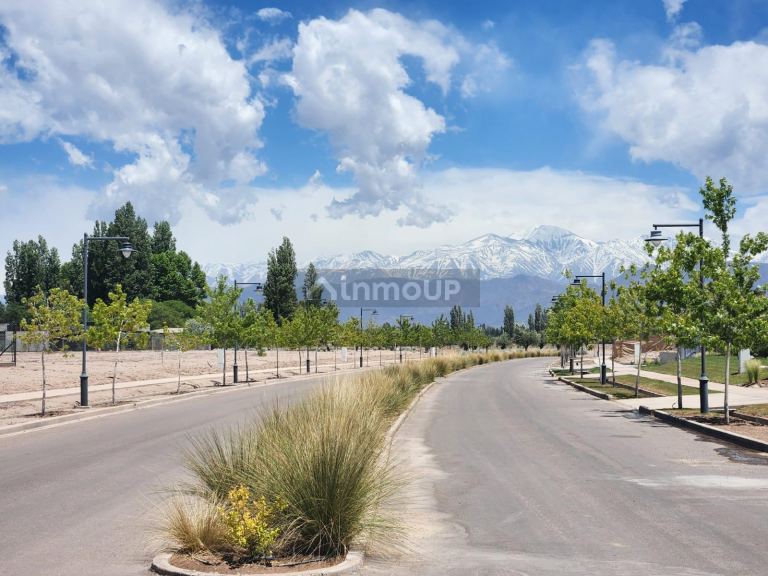 Lote en Venta en Lujan de Cuyo, Mendoza