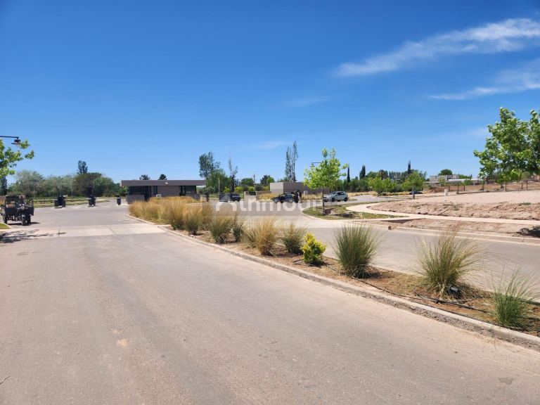 Lote en Venta en Lujan de Cuyo, Mendoza