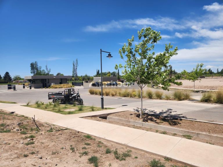 Lote en Venta en Lujan de Cuyo, Mendoza