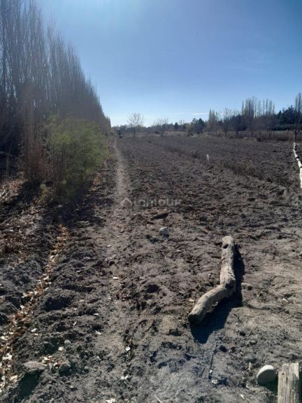 Lote en Venta en Lujan de Cuyo, Mendoza