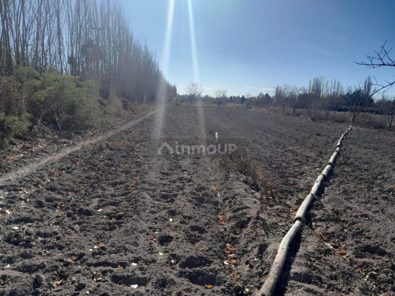 Lote en Venta en Lujan de Cuyo, Mendoza