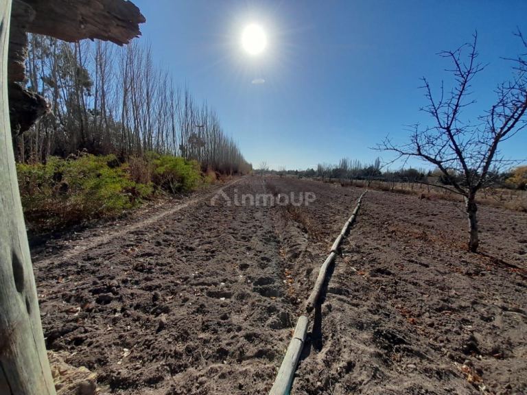 Lote en Venta en Lujan de Cuyo, Mendoza
