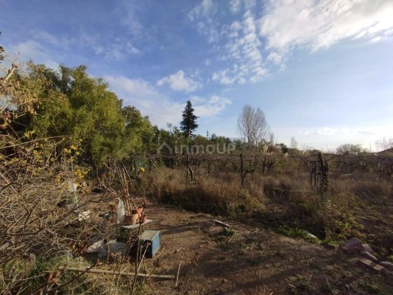 Casa en Venta en Lujan de Cuyo, Mendoza