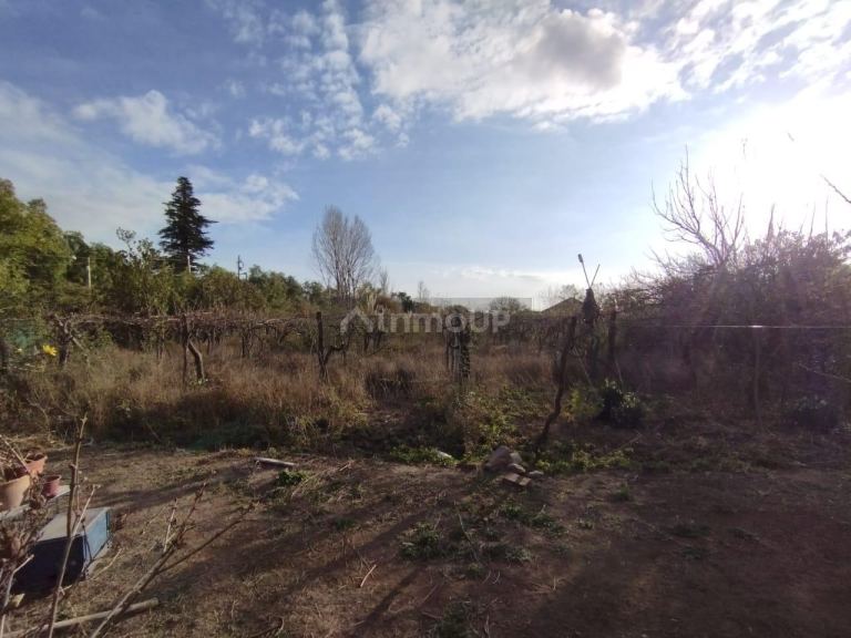 Casa en Venta en Lujan de Cuyo, Mendoza