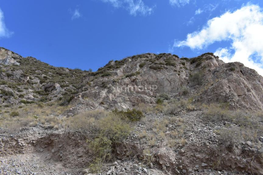 Negocio en Venta en Sarmiento, San Juan