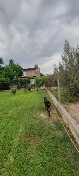 Casa en Alquiler en Lujan de Cuyo, Mendoza
