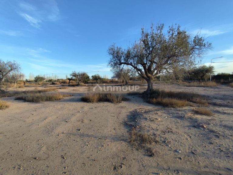 Terreno en Venta en Lujan de Cuyo, Mendoza