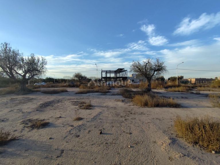 Terreno en Venta en Lujan de Cuyo, Mendoza