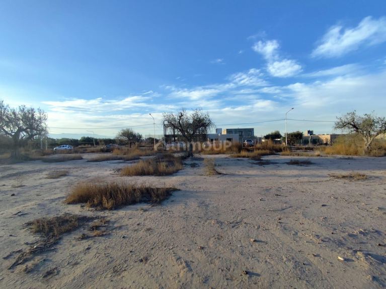Terreno en Venta en Lujan de Cuyo, Mendoza