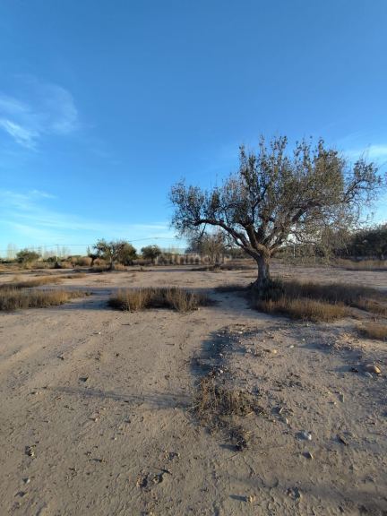 Lote en Venta en Lujan de Cuyo, Mendoza