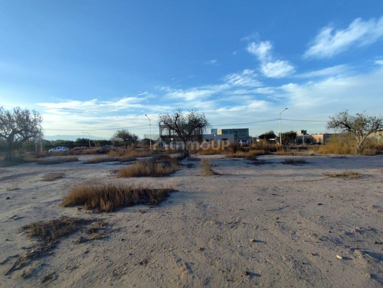 Lote en Venta en Lujan de Cuyo, Mendoza
