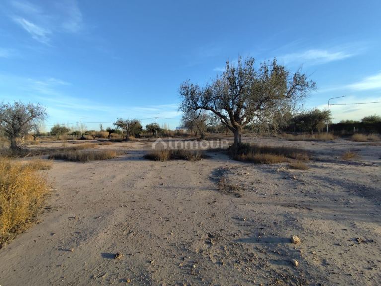 Lote en Venta en Lujan de Cuyo, Mendoza