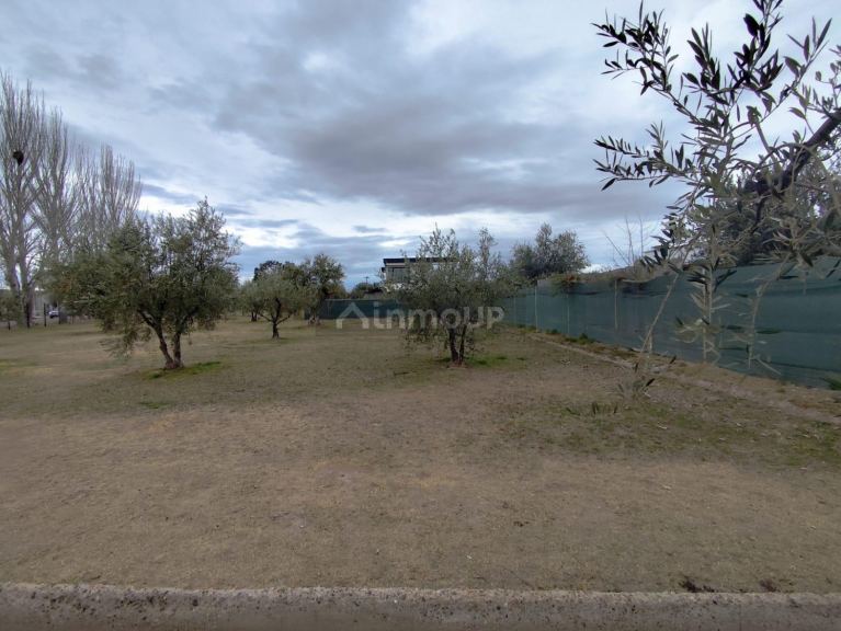 Terreno en Venta en Lujan de Cuyo, Mendoza