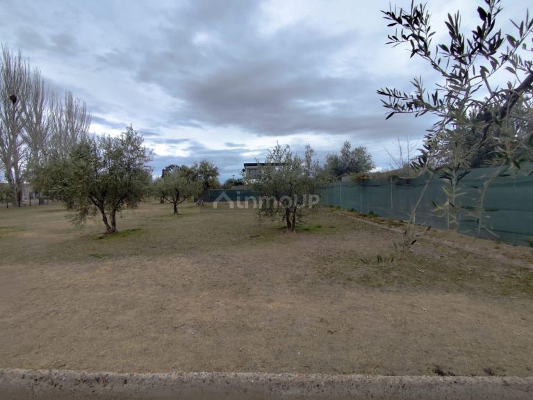 Terreno en Venta en Lujan de Cuyo, Mendoza