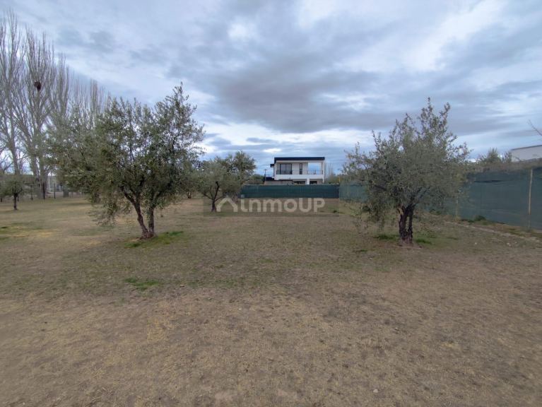 Terreno en Venta en Lujan de Cuyo, Mendoza