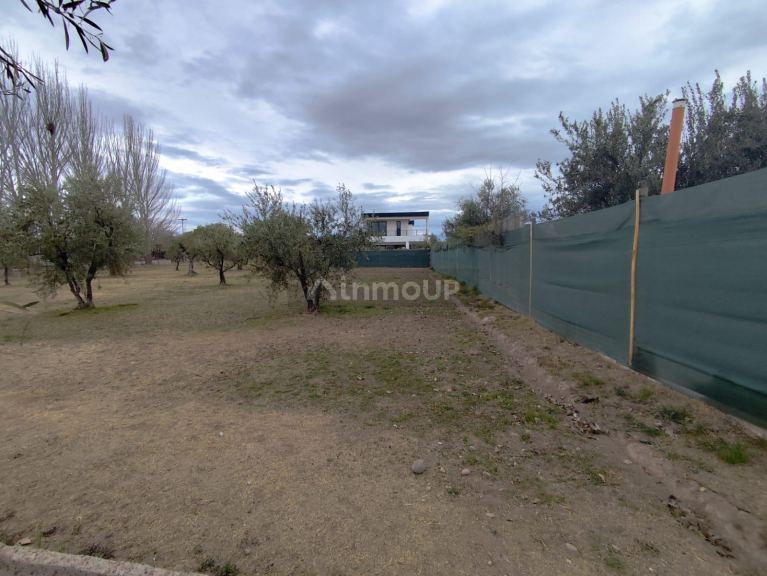 Terreno en Venta en Lujan de Cuyo, Mendoza