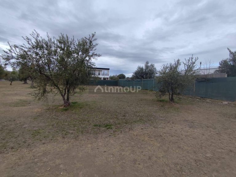 Terreno en Venta en Maipu, Mendoza